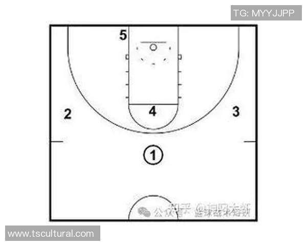 武汉篮球队战术解析：从进攻布局到防守策略的全面剖析